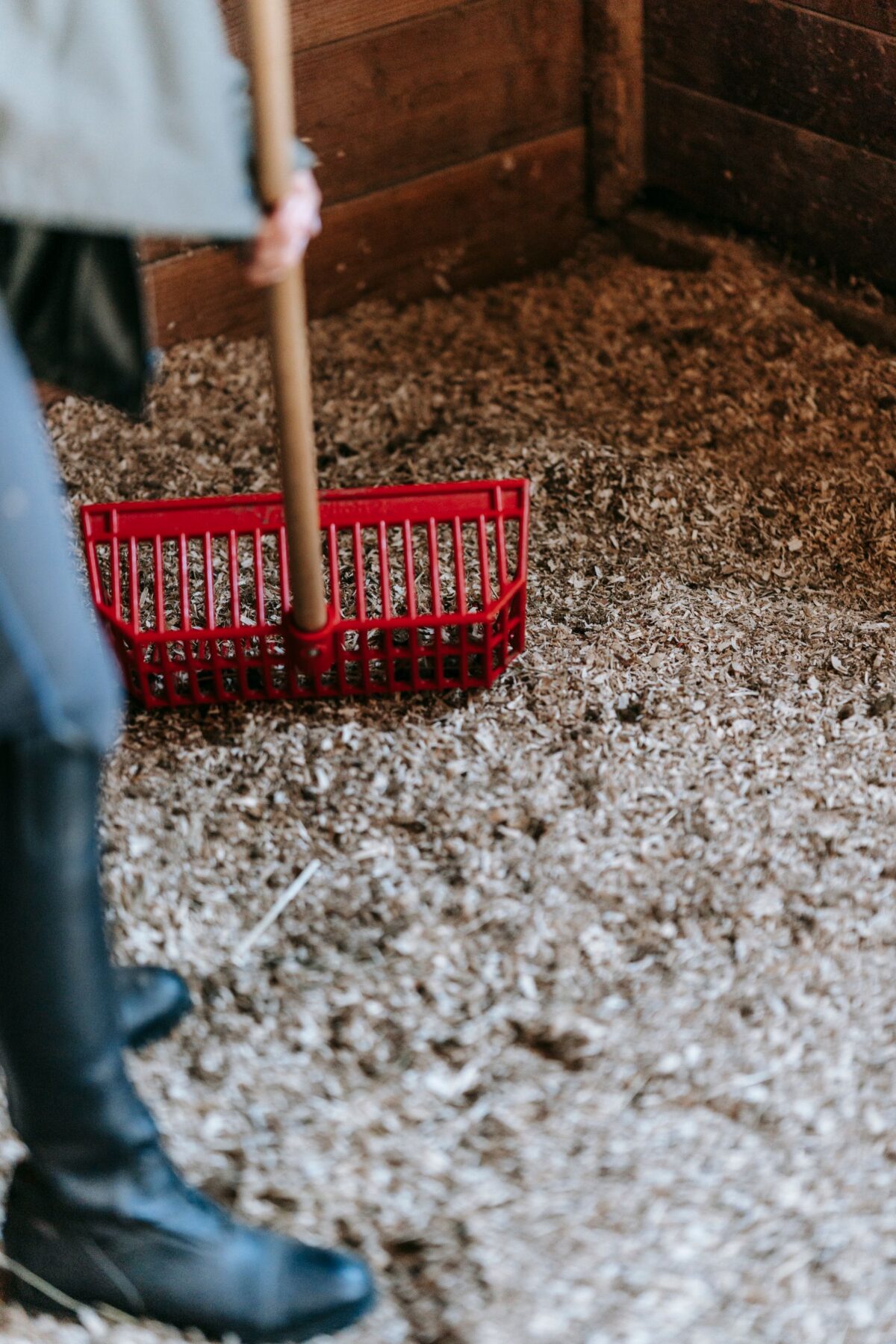 How to bed a horse box with straw pellets – step by step