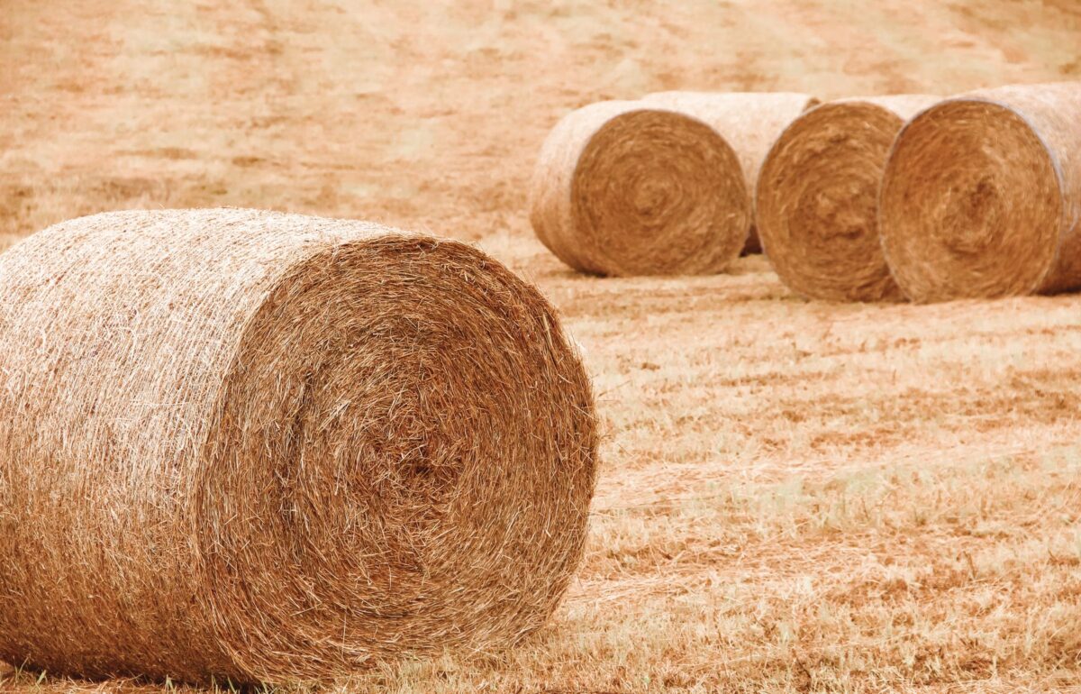 Less manure, faster compost: the hidden saving of pellet bedding