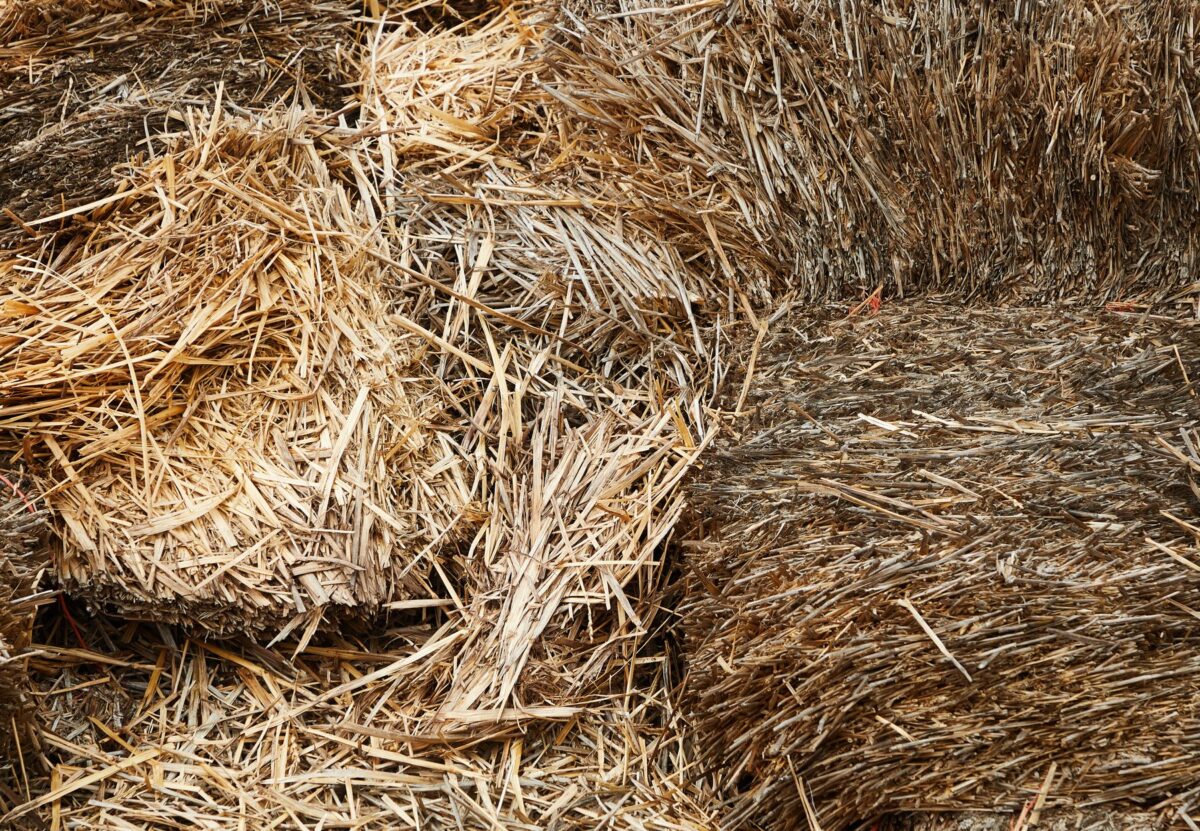 straw stacked barn